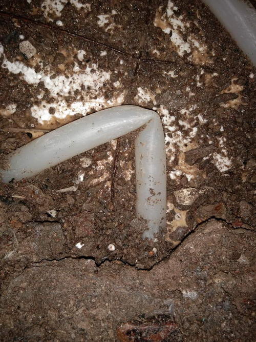 上林堵点精准查找