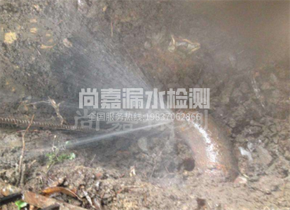 上林暖气管道漏水检测